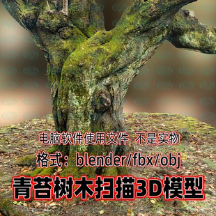 blender枯萎树木maya老树死树3dmax枯死树木树干3d扫描模型素材