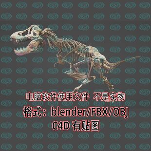 Blender写实霸王龙骨骼骨架3d模型C4D恐龙蜥蜴骨骼骨头模型源文件