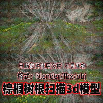 Blender maya c4d 3dmax影视游戏棕桐树根部岩石花草地面扫描模型