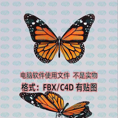 C4D蝴蝶3d模型素材带动画FBX格式Blendermaxmaya通用三维素材