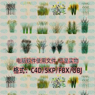 maya 3dmax农作物水稻小麦菜地玉米燕麦24款 3d模型SU C4D unity