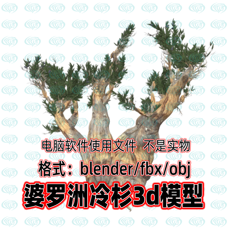 Blender c4d 3dmax maya影视游戏写实婆罗洲冷杉树木植物3D模型