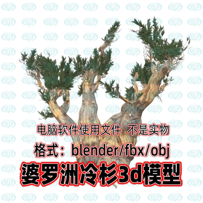 Blender c4d 3dmax maya影视游戏写实婆罗洲冷杉树木植物3D模型