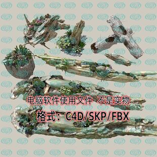 maya 3dmax创意装 饰景观造型多肉植物树桩腐木3d模型SU C4D unity