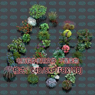 3dmax庭院景观植物花草花卉灌木荷花怪石3d模型SU C4D unity maya