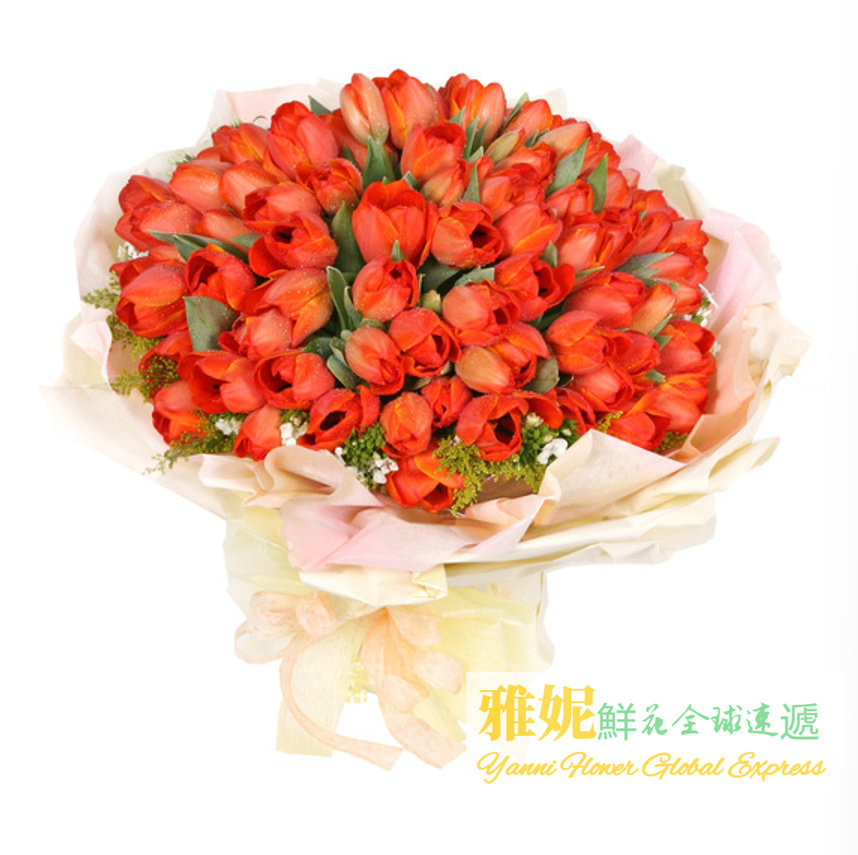 香港情人节鲜花速递花店送花同城快递澳门台湾订购99朵橙色郁金香