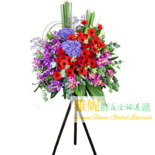 香港同城送花網上訂花九龍花店粉絲應援花牌開張花籃公司商務配送