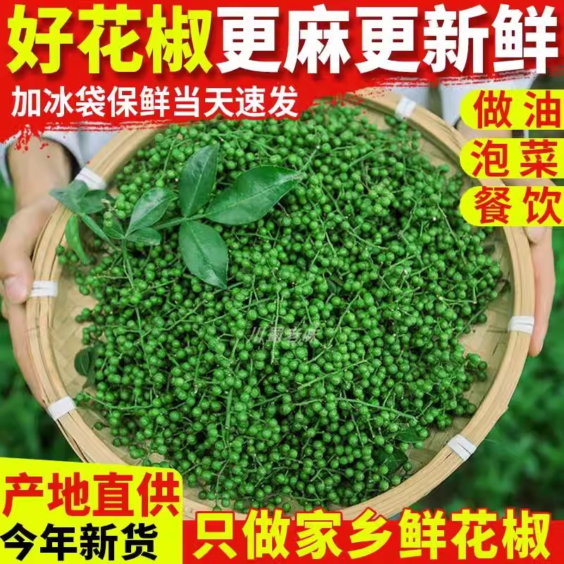 青花椒青花椒350g新鲜重庆江津