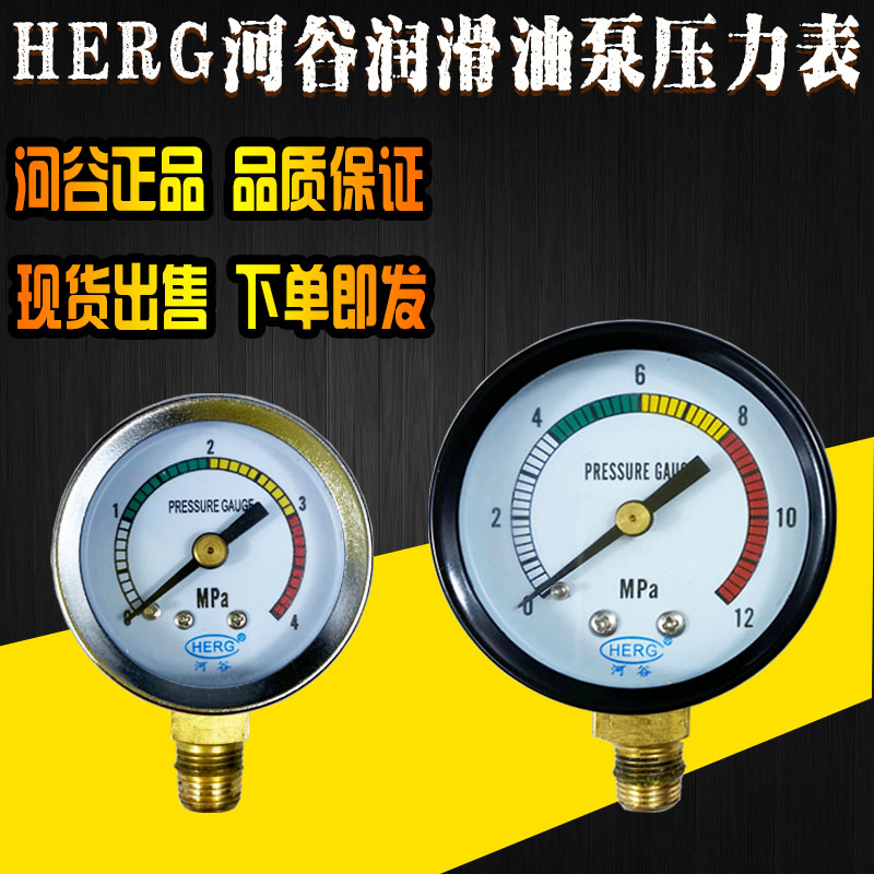 河谷正品TZ型HL型NW型原装压力表