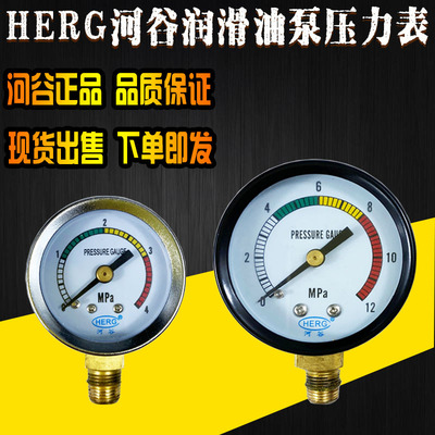 河谷正品TZ型HL型NW型原装压力表