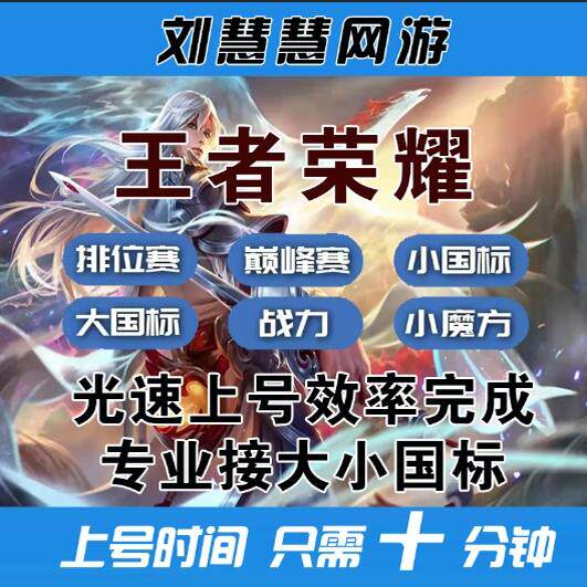 王者荣耀代练工作室打国服大小国标魔方省金标巅峰赛战力上分排位