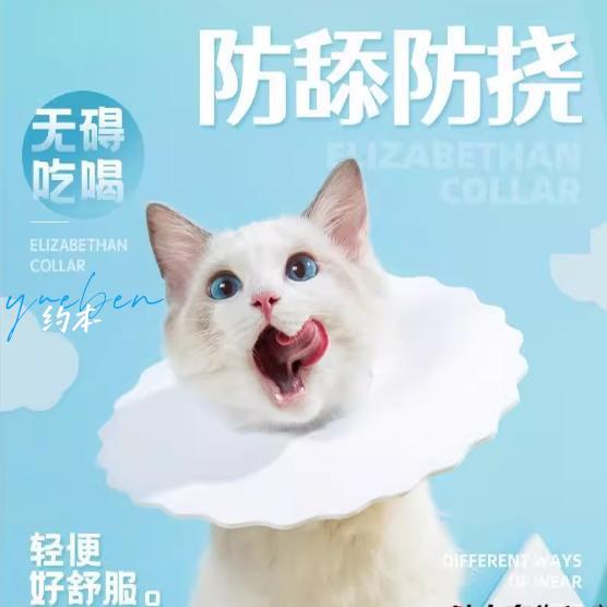 小奶猫周抛式猫头套项圈德文猫防咬防舔防护罩猫咪专用伊丽莎白圈
