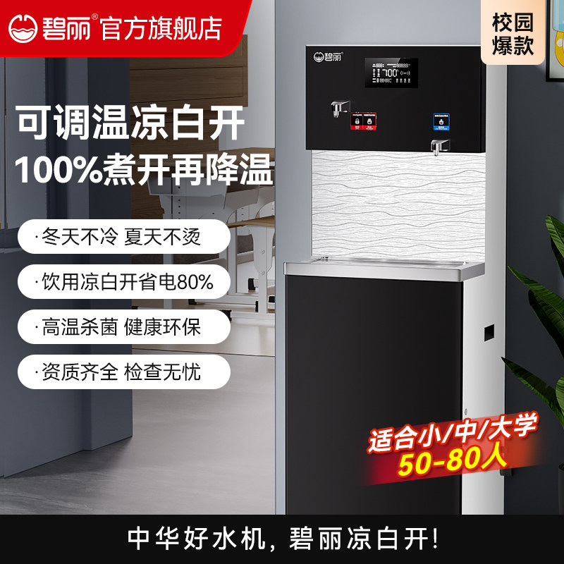 碧丽商用净水器反渗透加热一体