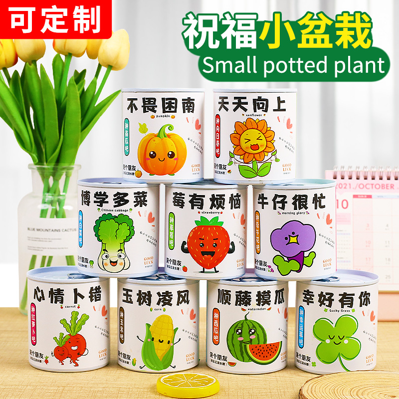 小学生奖品植物盆栽分享礼物