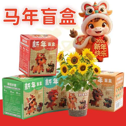 diy盲盒儿童盆栽小学生开学礼物
