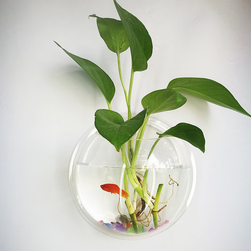 墙饰壁挂饰花卉瓶墙面花盆家居装饰墙上花器现代北欧水养植物花瓶 - 封面