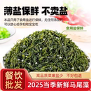 鞭炮笋长寿菜海草火锅凉拌泡笋炮鞭笋盐渍马尾藻羊栖菜鞭泡菜商用