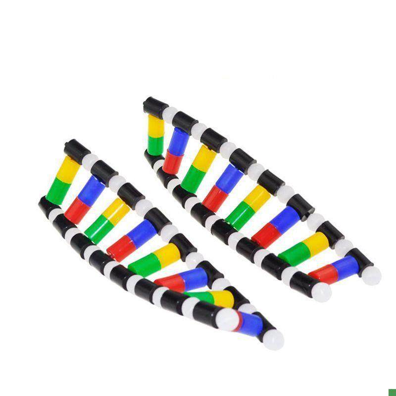 DNA模型脱氧核j糖核酸细胞核中学生物课教学器材医用碱基配对遗传