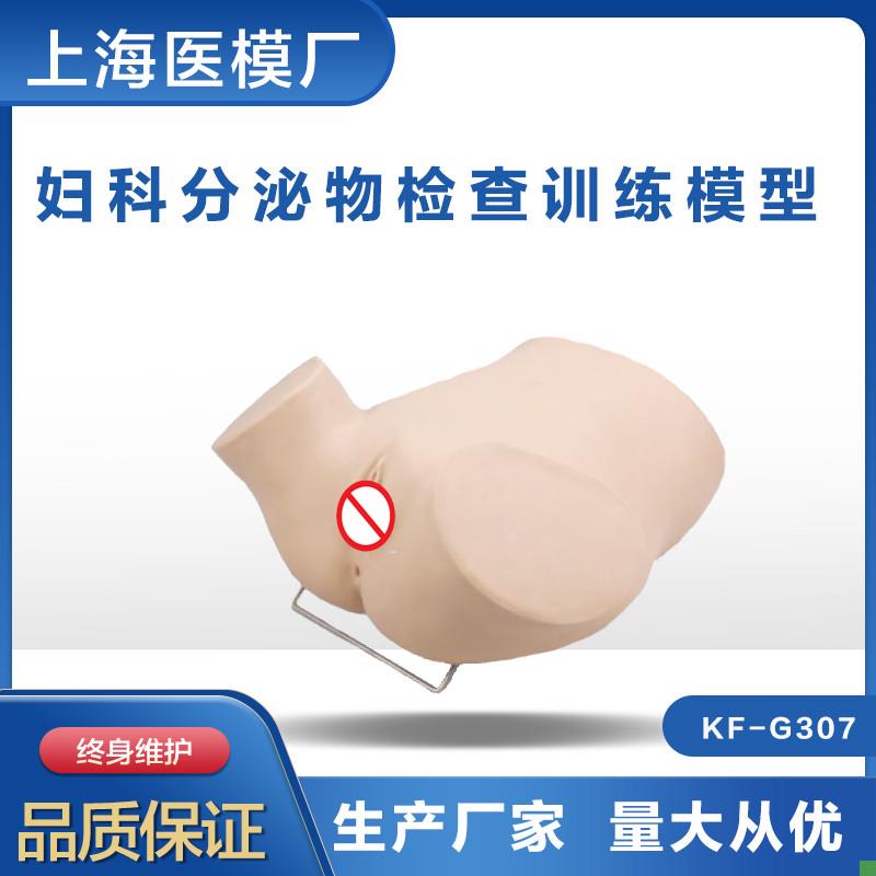 妇科分泌物检查训练模型阴道分泌物检查模型V妇科教学模型