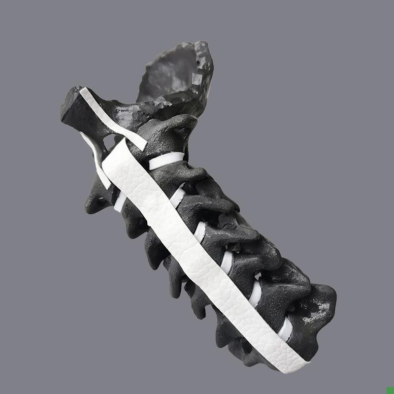 康泰仿真骨模型颈椎假o骨医学X光CT影像3D成像重建骨科术前实训用