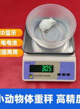 鼠体重计小动物电子秤大鼠电子天平高精度测量秤B动物实验称重