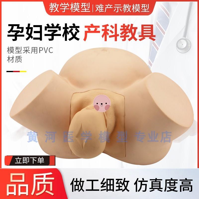 分娩示教模型高级难n产示教训练模型妇产科难产助产分娩胎儿模型