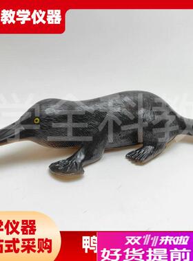 3237鸭嘴e兽模型初高中生物教学演示科教仪器动物模型pvc制作无味