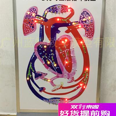 电动心脏搏动与血液循环模型血管H搏动心室模型血液流动模型