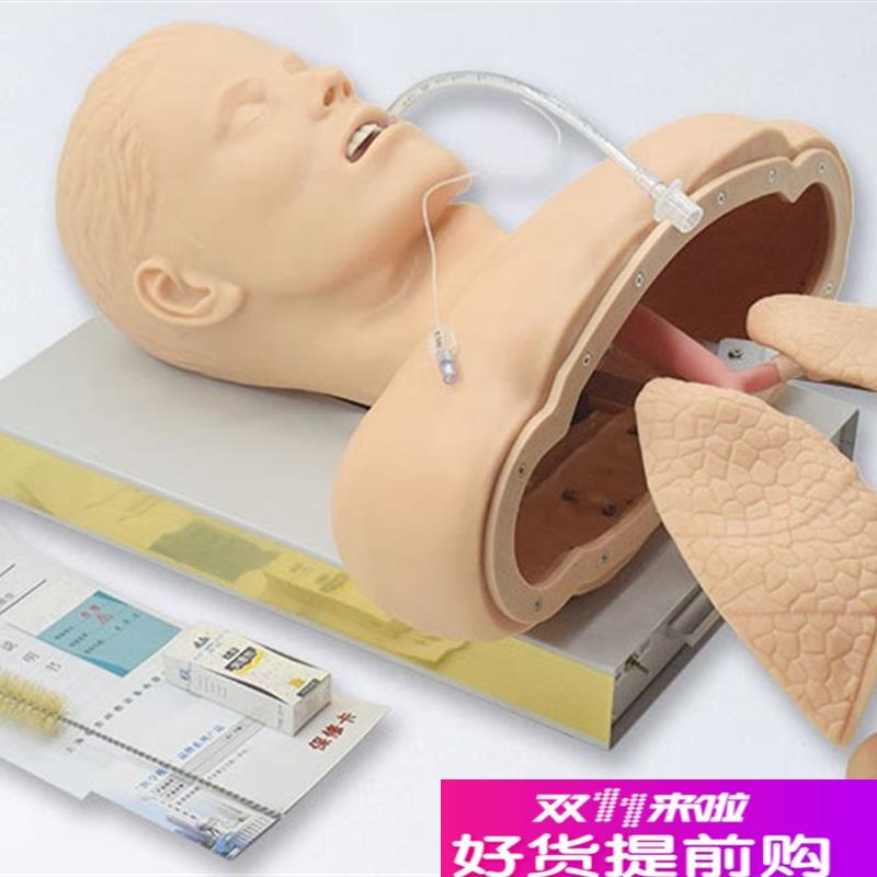人体气管插管f模型带喉部解剖结构成人气道插管训练模型J50