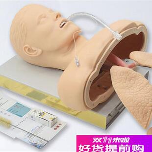 人体气管插管f模型带喉部解剖结构成人气道插管训练模型J50