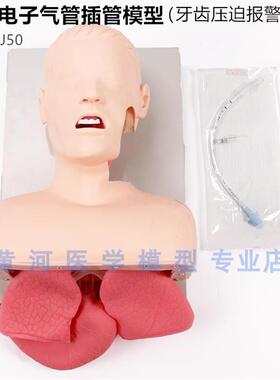 J50成人电子气管n插管教学模型人体急救训练模型(牙齿压迫报警)
