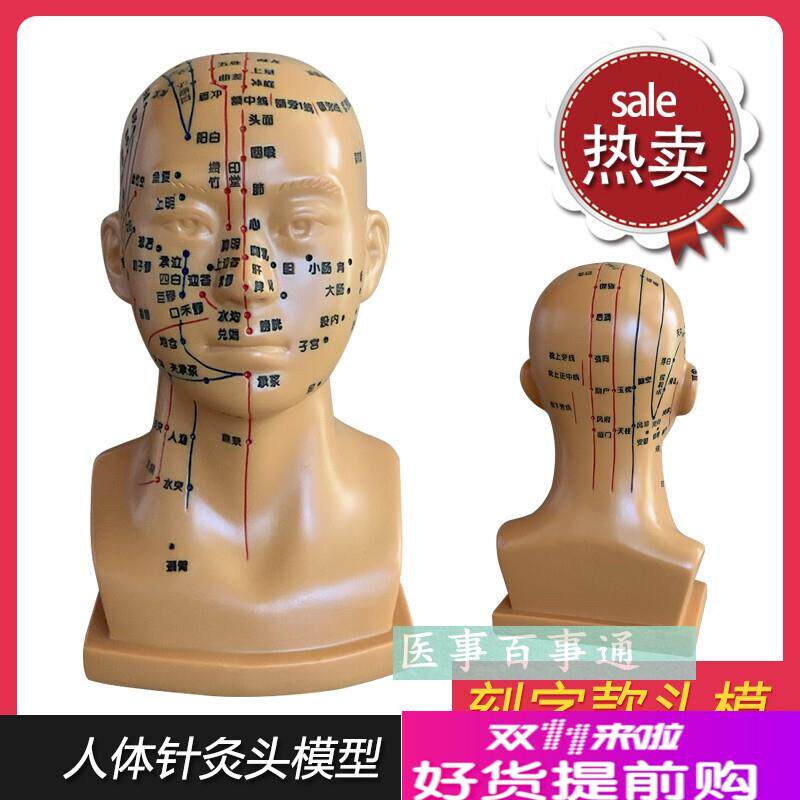超清刻字教学人体针灸头部面部脑袋刮痧温灸拔罐按摩穴.位模型包