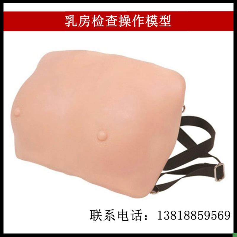 穿戴式乳房训练i检查模型乳房病理示教教具医用人体结构橡皮人