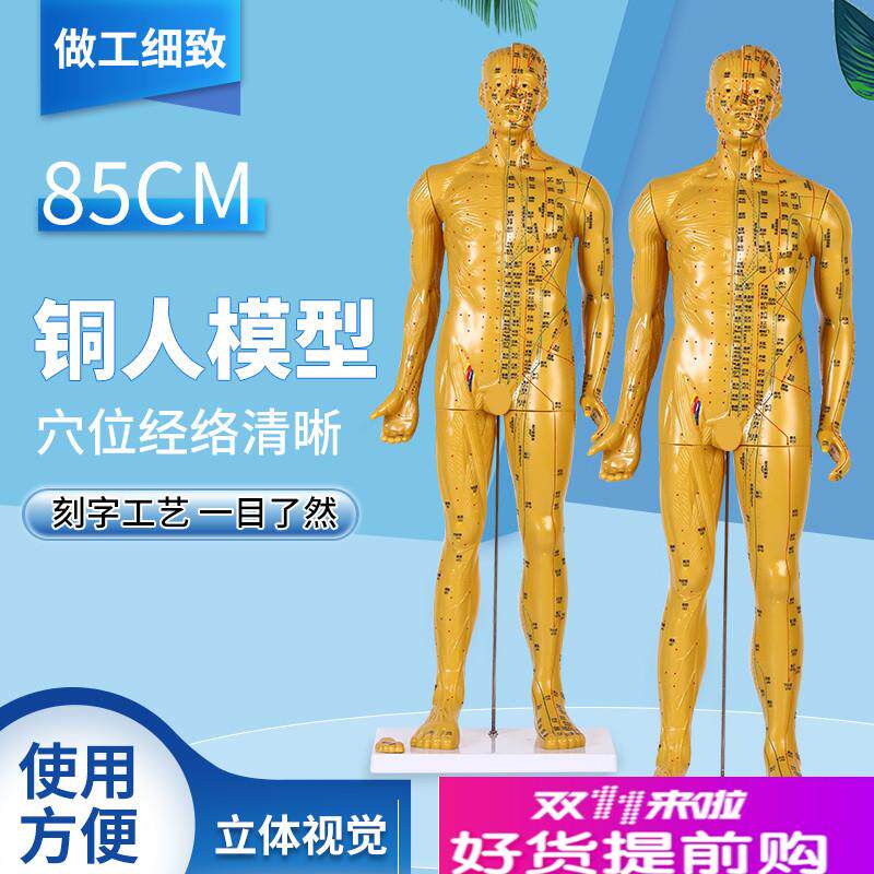 85CM针灸穴位人体模型经络穴位模特图全L身中医十二铜人扎针练习