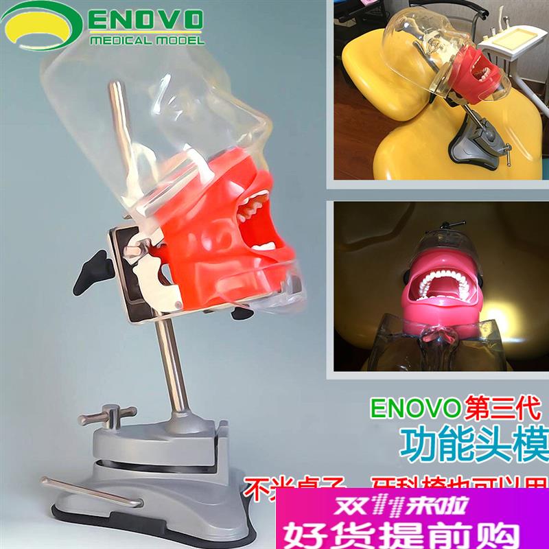 ENOVaO正品口腔科仿生头模系统齿科备牙牙医培训牙科头模牙齿模型