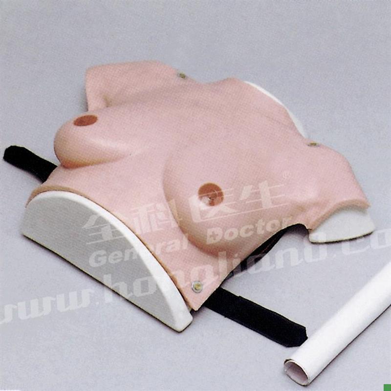 高级着装式乳房自检模o型GD/F7C/女性乳房检查模型/乳腺自检模型