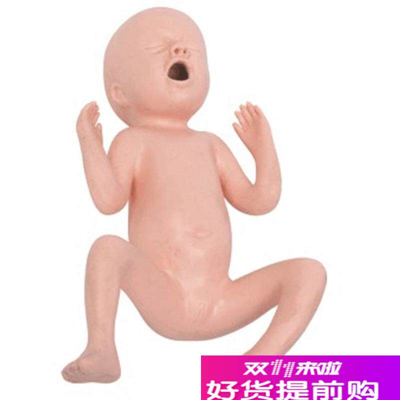 24周早产儿护理模型初生儿早产儿P模型出生婴儿模型