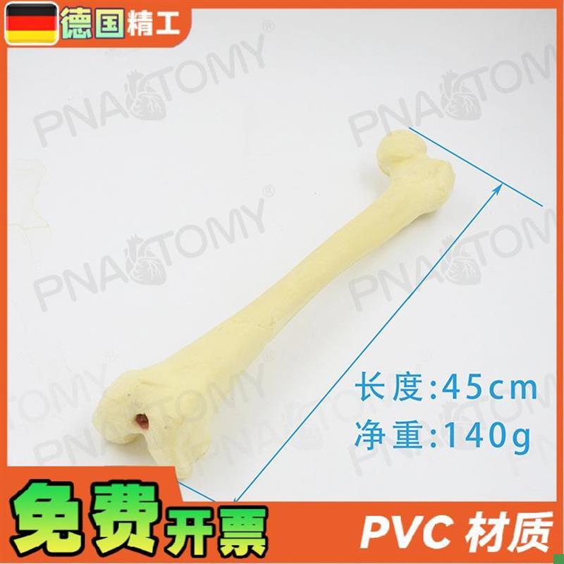 德国】1比1仿真骨手术实操股骨头骨科pfna人工R合成创伤骨科操作