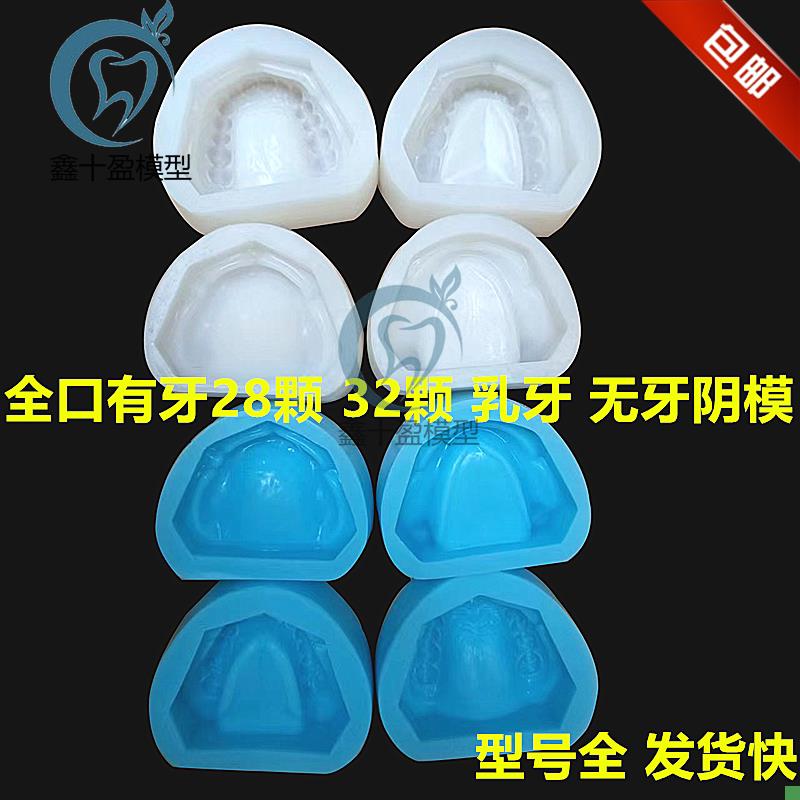 牙科有牙阴模无牙颌阴模排牙基托D模具制标准石膏牙列牙齿模型