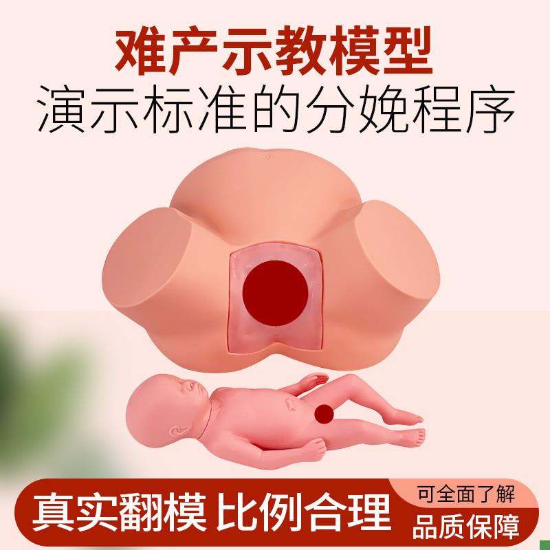 高级难产示教训练模型分娩v示教模型妇产科难产助产分娩教学模型