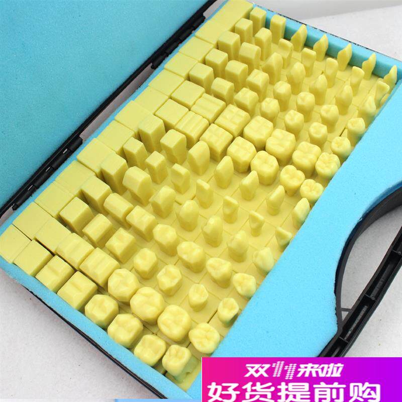 ENOVO颐诺全口牙o雕牙练习指导模型雕牙步骤口腔科牙医齿科模型口