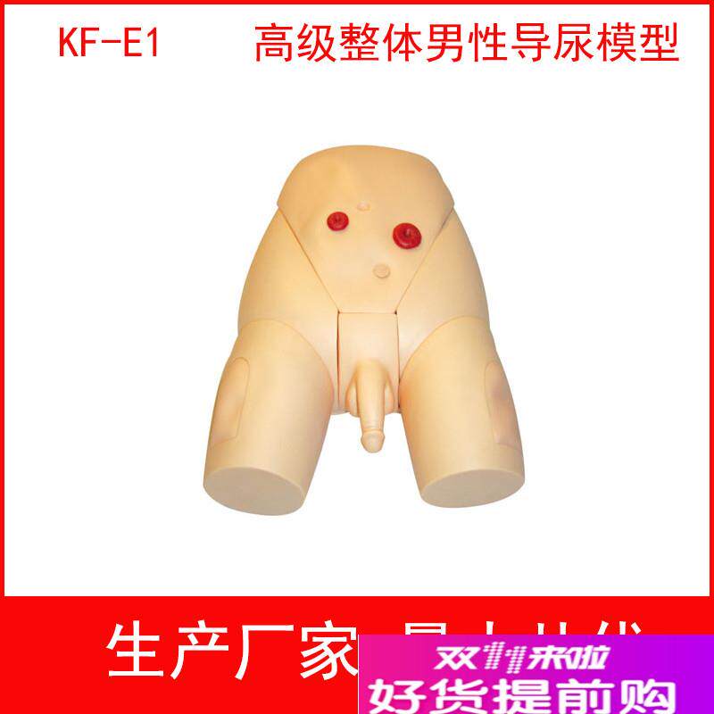 高级整体男女导尿模具,高级整z体男性导尿模型女性导尿训练模型