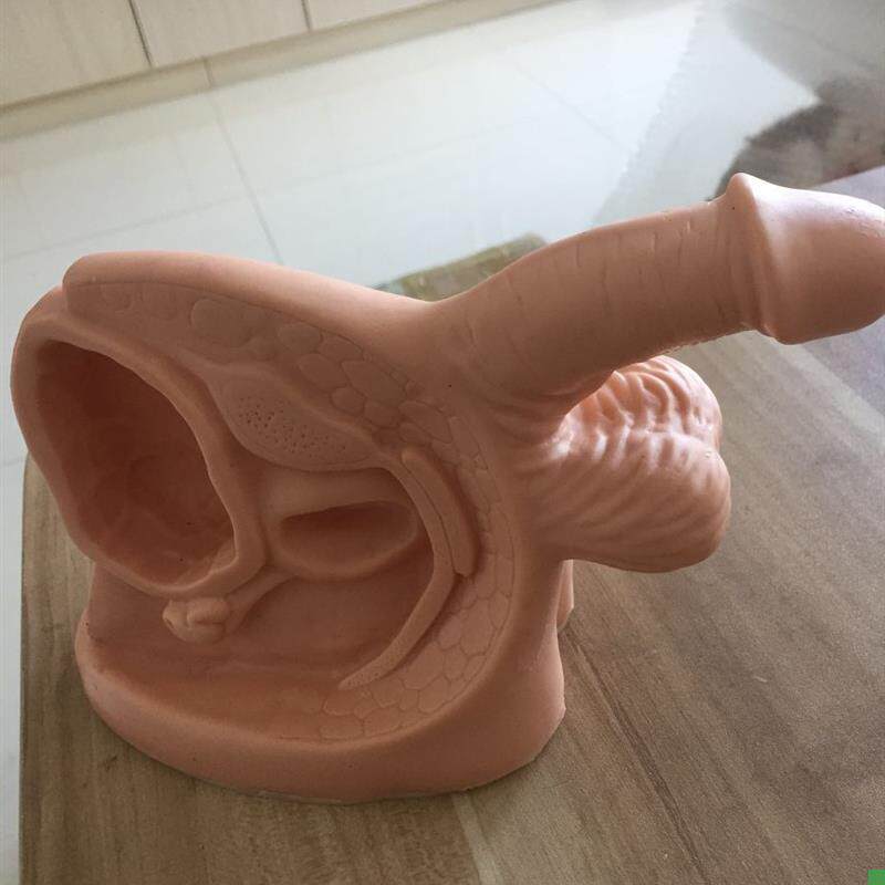 男性内外生殖器及导尿模块/人体模型/男性导尿U模型/阳具模型