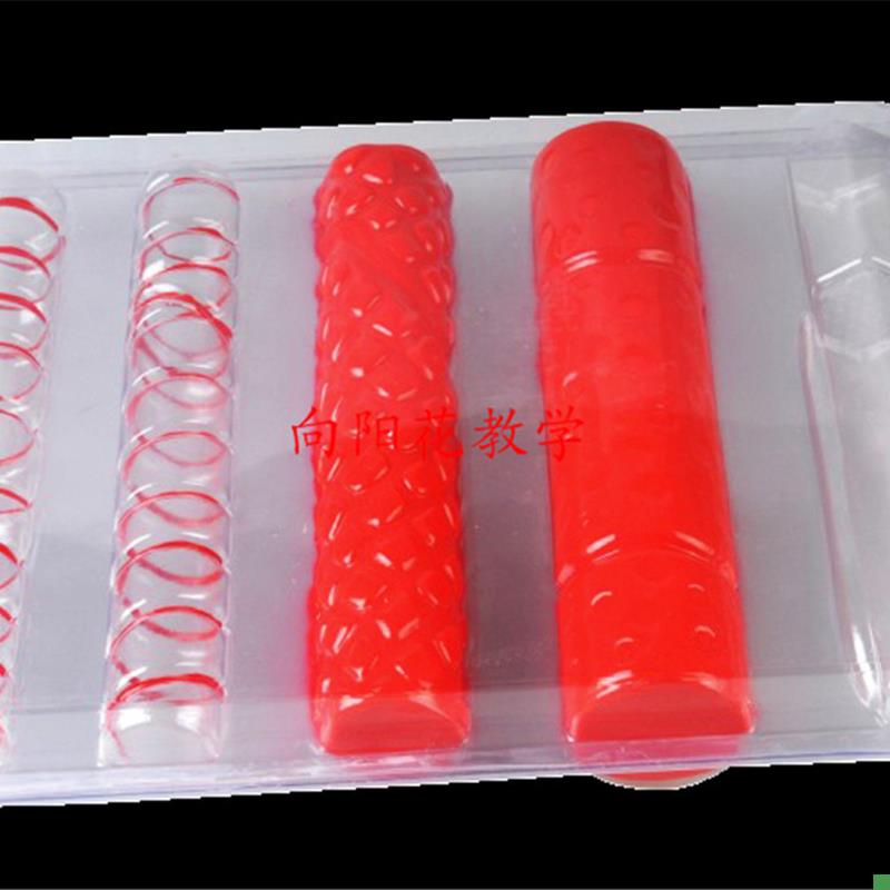 向阳花导管筛管模型教学生O物厂家直销包邮