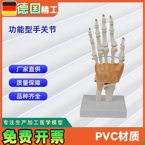 功能型手关节模型人体K骨头模型教学模型