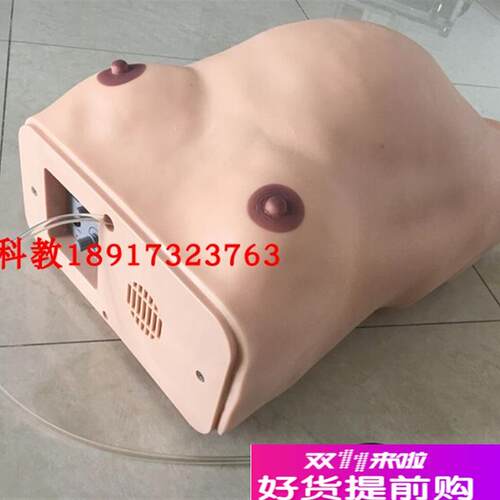 高级电脑孕妇检查模型电子孕妇腹部N触诊及胎心监护模型