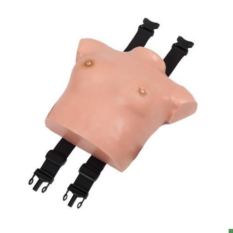 高级着装式w乳房自检模型