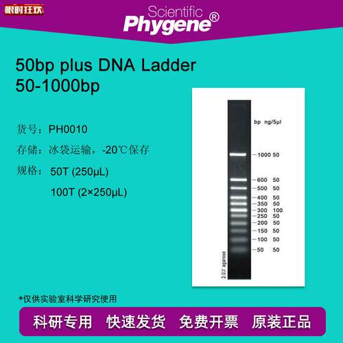 0bpDNAMatrker50-1000DNALadder100T[PH0010PHYGENE]