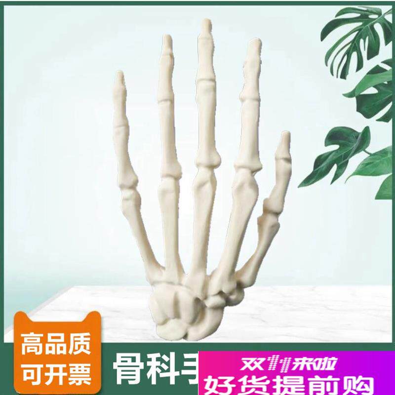 1比1手a骨模型临床骨科手术练习用仿真骨医师技能考试左右手腕骨