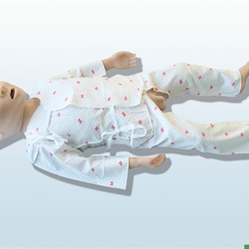 婴儿营养不良模型